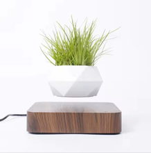 Cargar imagen en el visor de la galería, Levitating Plant Pot