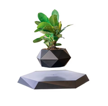 Cargar imagen en el visor de la galería, Levitating Plant Pot