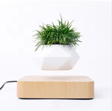 Cargar imagen en el visor de la galería, Levitating Plant Pot