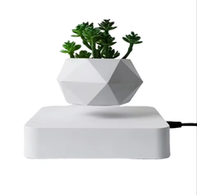 Cargar imagen en el visor de la galería, Levitating Plant Pot
