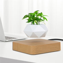 Cargar imagen en el visor de la galería, Levitating Plant Pot