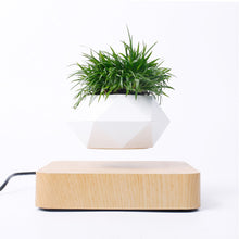 Cargar imagen en el visor de la galería, Levitating Plant Pot