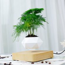 Cargar imagen en el visor de la galería, Levitating Plant Pot