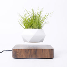 Cargar imagen en el visor de la galería, Levitating Plant Pot