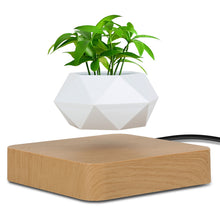 Cargar imagen en el visor de la galería, Levitating Plant Pot