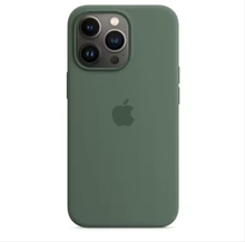 Ladda upp bild till gallerivisning, Silicone Case (PINE GREEN)
