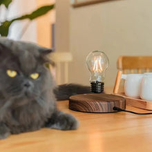Load image into Gallery viewer, Magnetic Levitating Lamp Floating Glass
