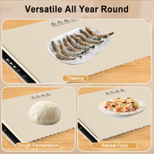 Load image into Gallery viewer, Electric Warming Tray Food Warmer
